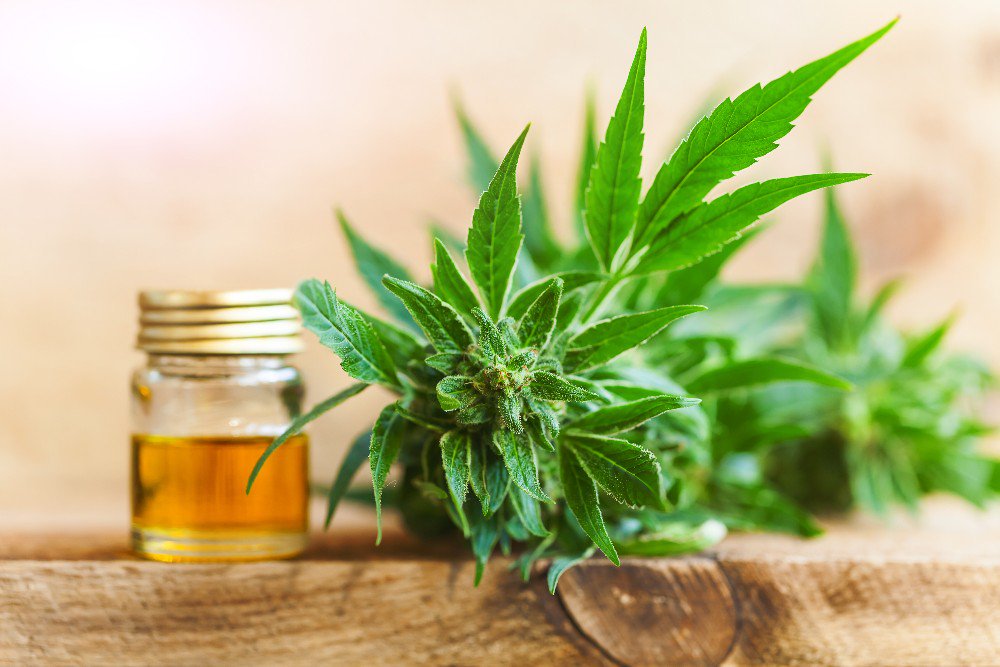 How CBD Oil Helps Cancer Patients in Reducing their Pain? 