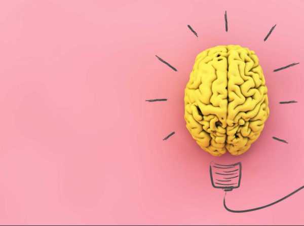 Nootropic Supplements for Everyday Brain Health