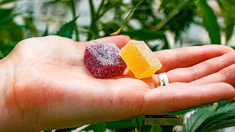 Elevate Your Experience with Delta-9 Gummies: A Sweet and Tangy Delight
