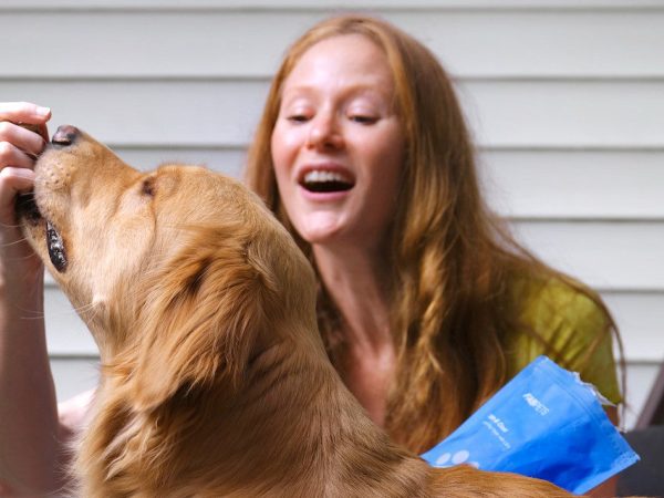 Joint Health for Canines: The Benefits of Glucosamine for Dogs