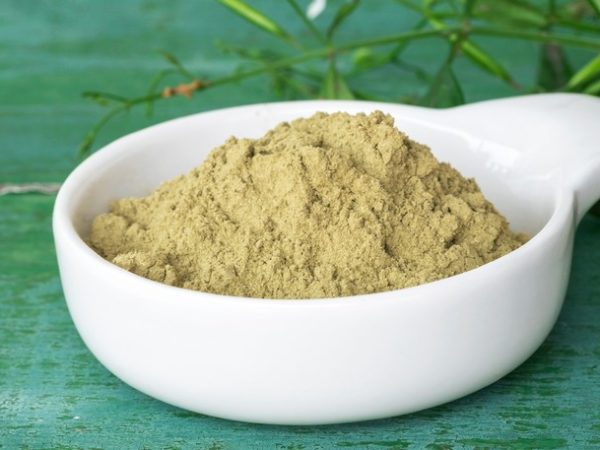 The Kratom Connoisseur’s Guide: Top Brands for Premium Quality