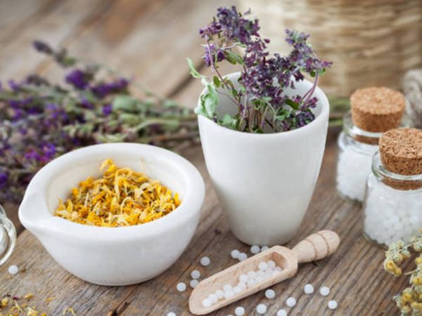 Can Kidney Stones Be Cured Naturally? A Deep Dive Into Homeopathic Remedies