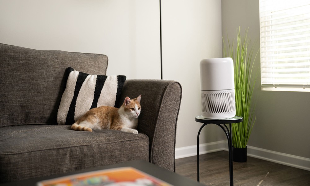 Dust, Allergies, and Pet Hair? Here’s Why Washable Filter Air Purifiers Are Winning in 2026